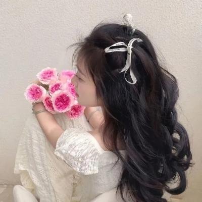 芭比公主三剑客