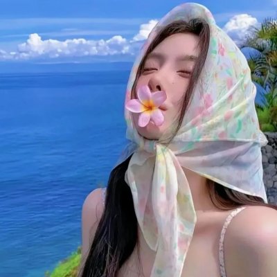 最后的飞行